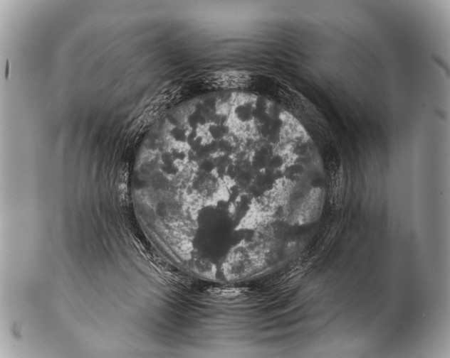 X0000102480553200809051359