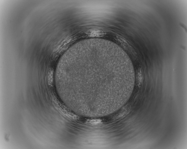 X0000102480554200809051359