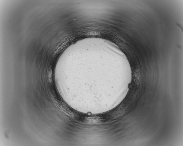 X0000102480556200809051359