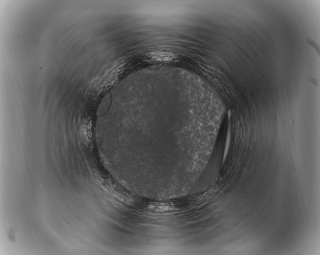 X0000102480559200809051359