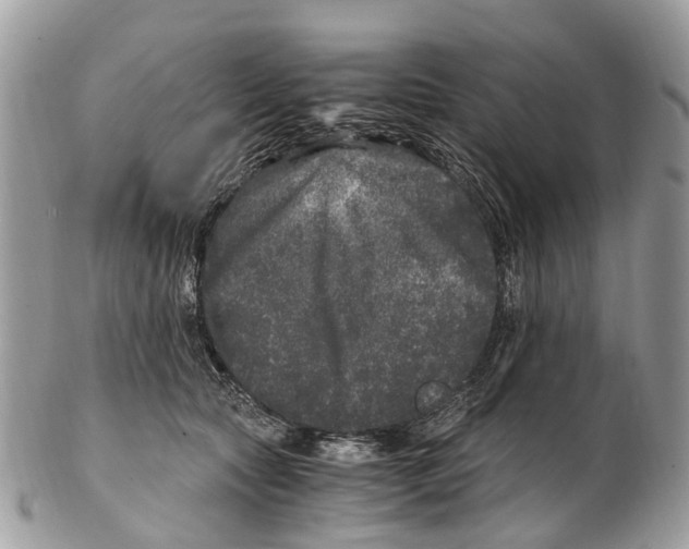 X0000102480561200809051359