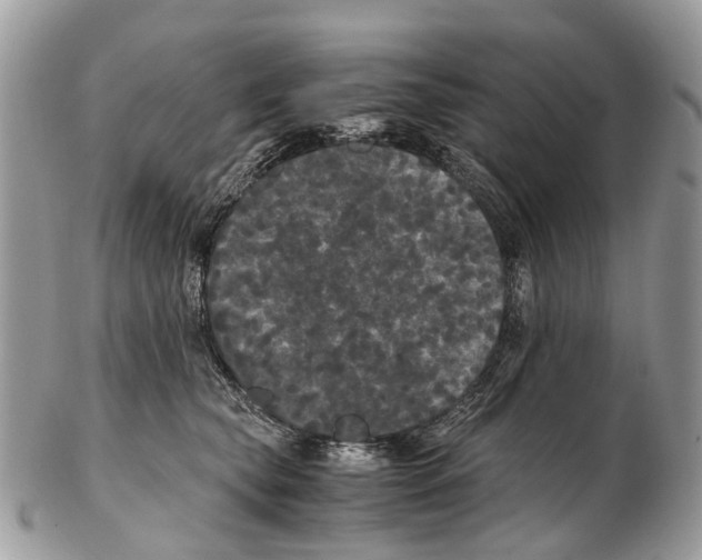 X0000102480565200809051359