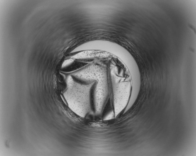 X0000102480568200809051359