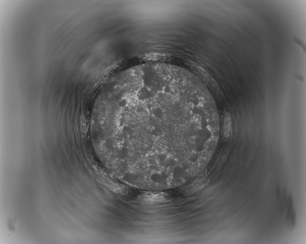 X0000102480569200809051359