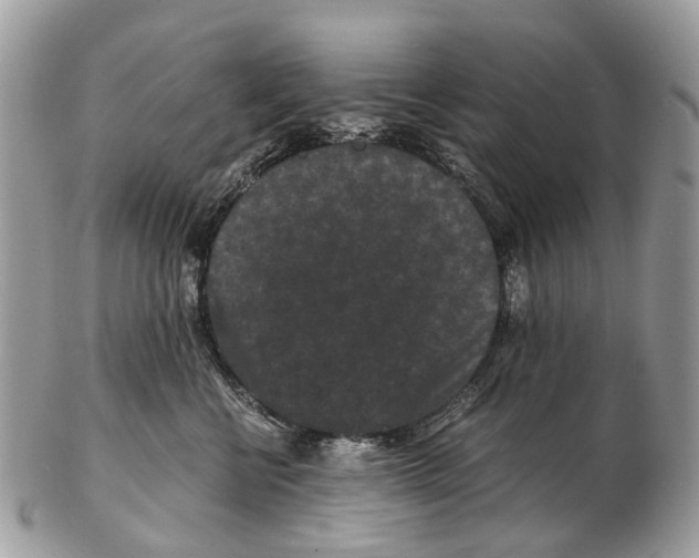 X0000102480570200809051359