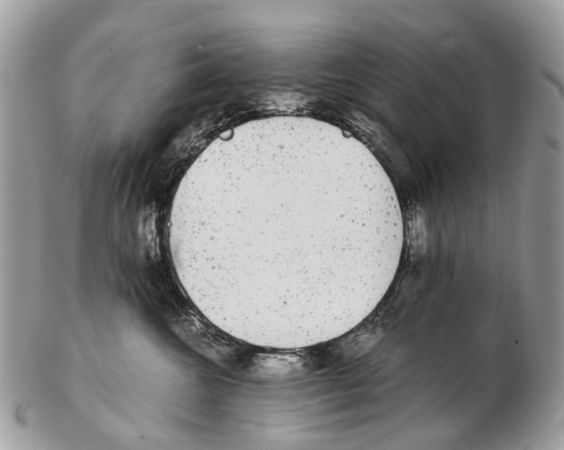 X0000102480572200809051359