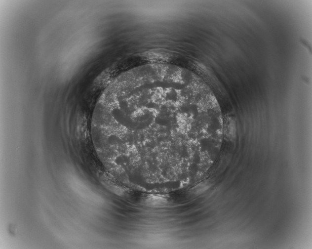 X0000102480573200809051359