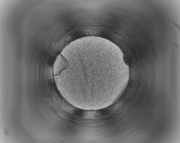 X0000102480575200809051359