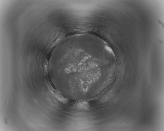 X0000102480576200809051359