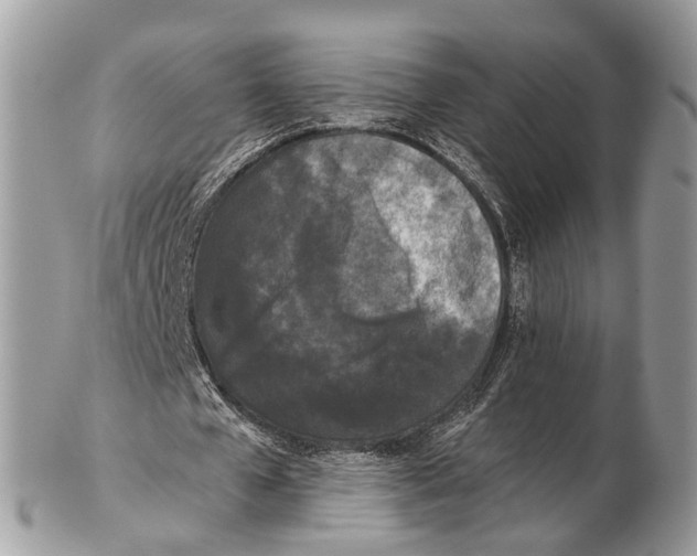 X0000102480577200809051358