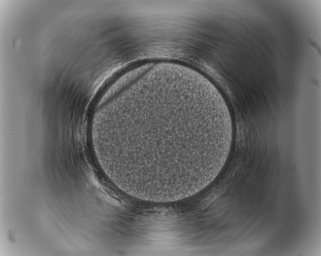 X0000102480580200809051358