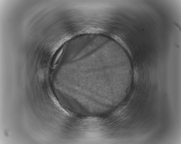 X0000102480581200809051358