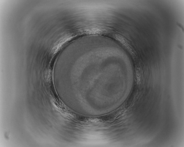 X0000102480583200809051358