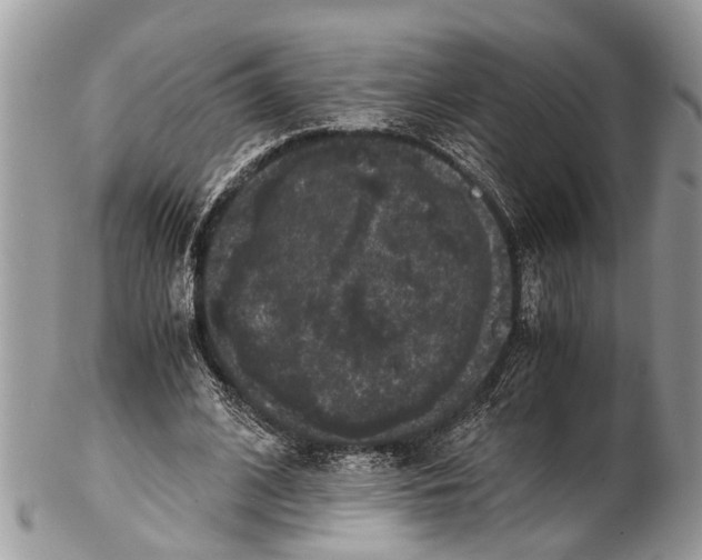 X0000102480584200809051358