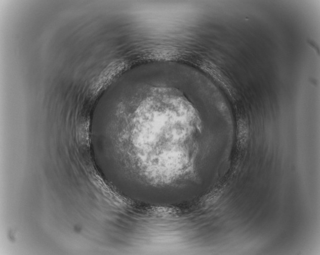 X0000102480585200809051358