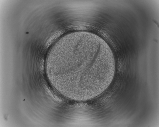 X0000102480586200809051358