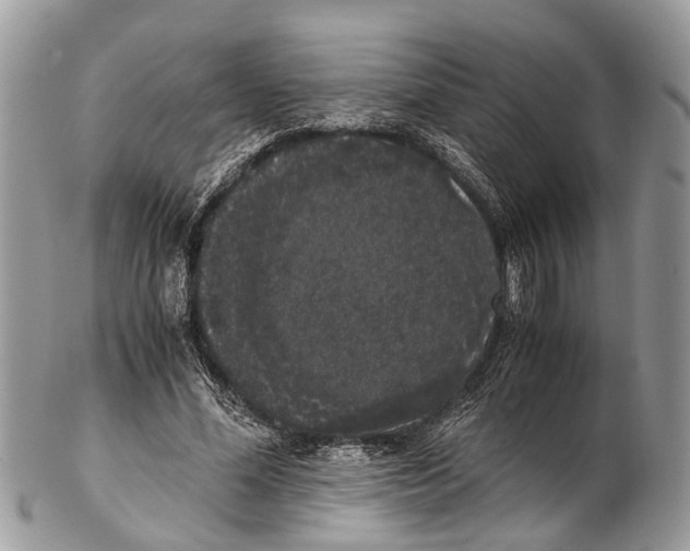 X0000102480588200809051358