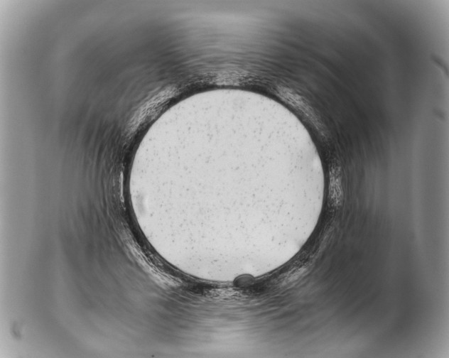 X0000102480589200809051358