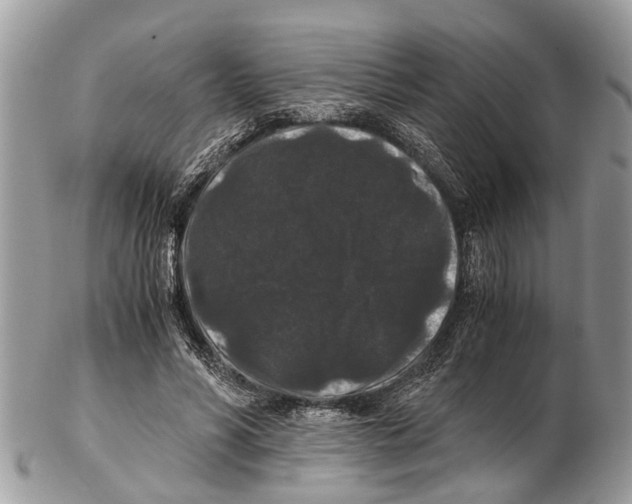 X0000102480590200809051358