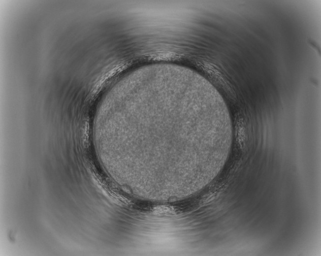 X0000102480591200809051358