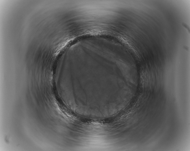 X0000102480592200809051358