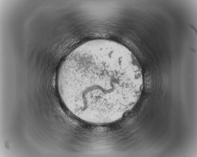 X0000102480593200809051358