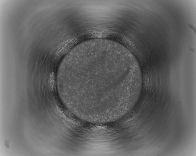 X0000102480594200809051358