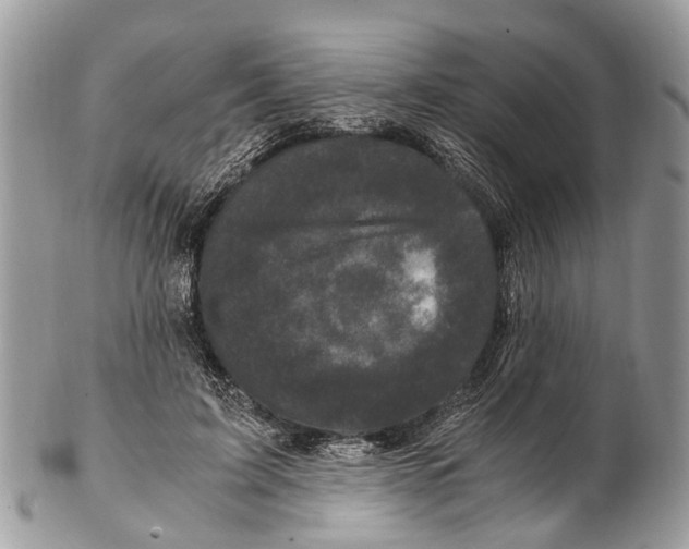 X0000102480595200809051358