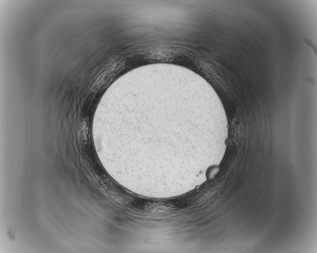 X0000102480597200809051358