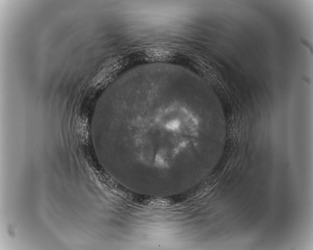 X0000102480599200809051358