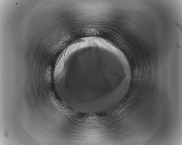 X0000102480600200809051358