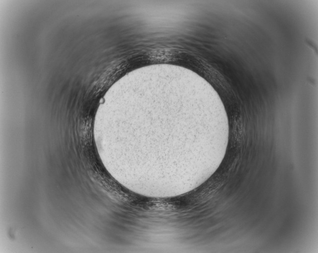 X0000102480601200809051358