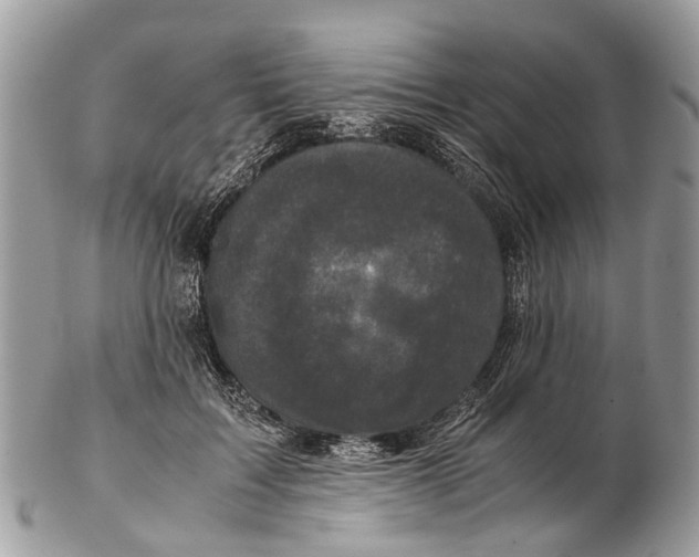 X0000102480603200809051358