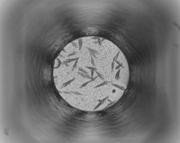 X0000102480604200809051358