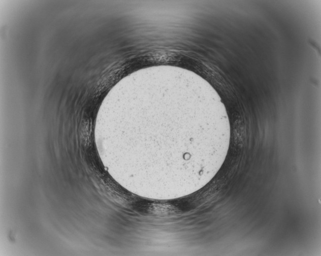 X0000102480605200809051358