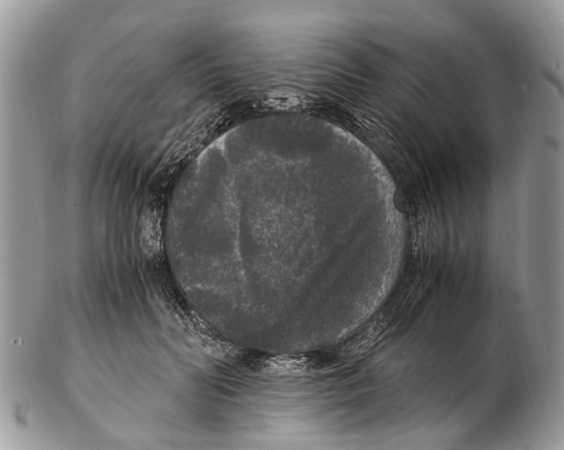 X0000102480606200809051358