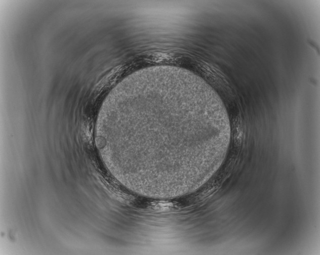 X0000102480607200809051358