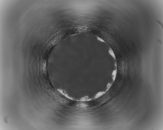 X0000102480610200809051358