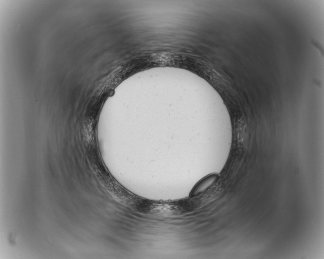 X0000102480611200809051358