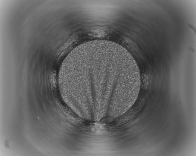 X0000102480612200809051357