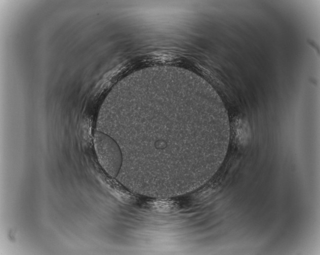 X0000102480615200809051357