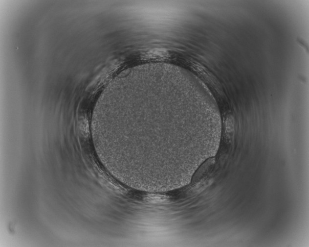 X0000102480617200809051357