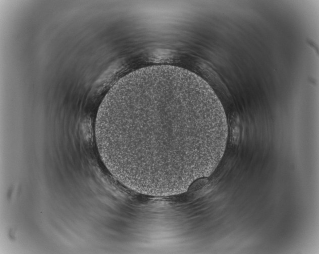 X0000102480620200809051357