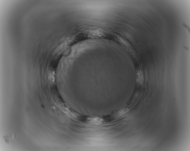 X0000102480621200809051357