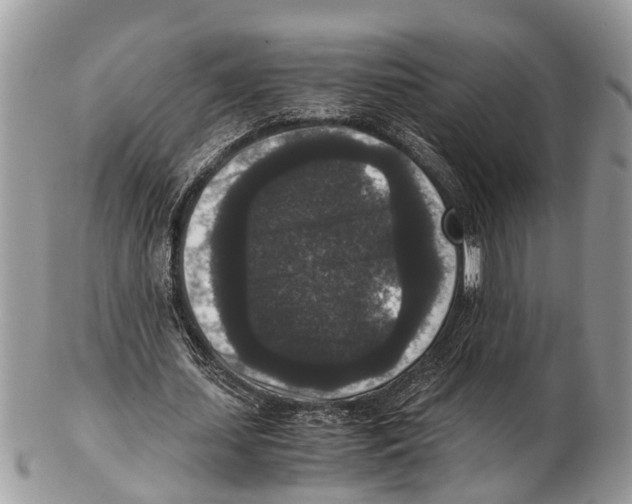 X0000102480627200809051357