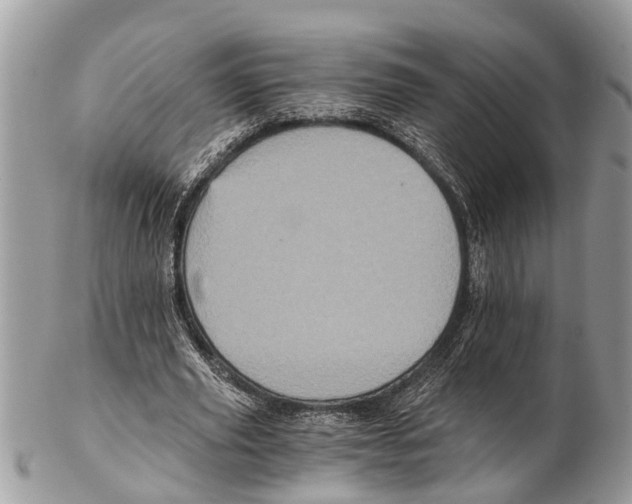 X0000102480629200809051357