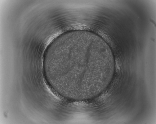 X0000102480630200809051357