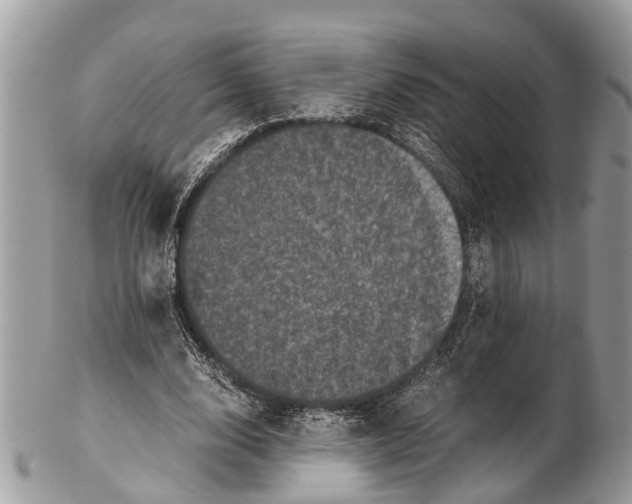 X0000102480632200809051357