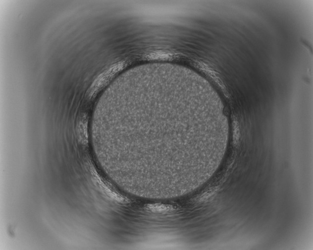 X0000102480633200809051357