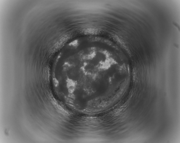 X0000102480637200809051357